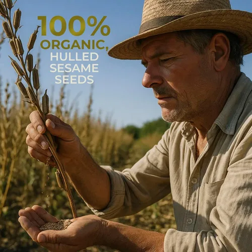 Miniatura 7 de Kevala Tahini de sésamo orgánico – USDA orgánico, proyecto sin OMG verificado y certificado Kosher (16 onzas (paquete de 5))