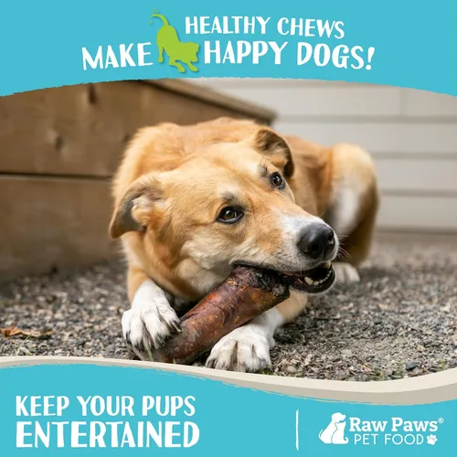 Miniatura 5 de Raw Paws Huesos de médula de carne ahumada para perros, 6 pulgadas (4 unidades) empacados en Estados Unidos, huesos de carne de res, golosinas
