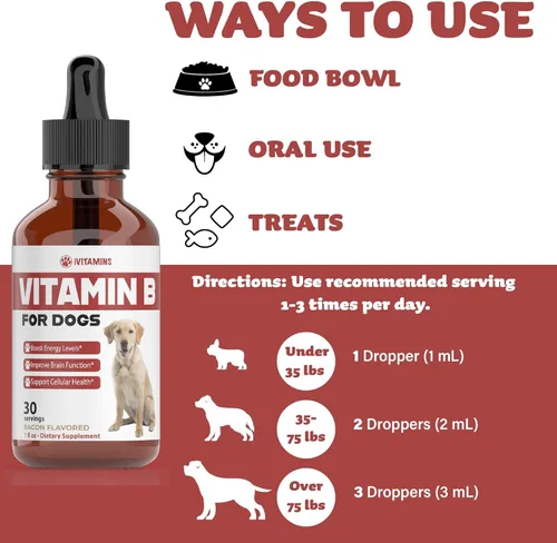 Miniatura 5 de Vitamina B para perros – Complejo de vitamina B para perros – Apoya la energía saludable, el apetito, la vista y mucho más – Vitaminas para perros
