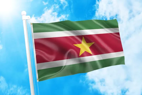 Miniatura 244 de DMSE Bandera de Sierra Leona 3X5 Pies 100% Poliéster Bandera 100D 47-91 x 152 cm