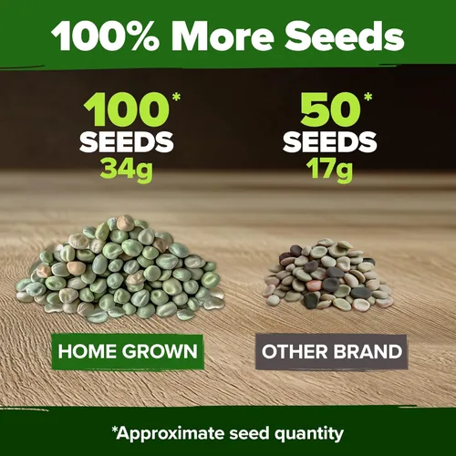 Miniatura 4 de HOME GROWN Semillas orgánicas de guisantes cascadia, más de 100 semillas tradicionales sin OMG para plantar, alta germinación, vainas comestibles