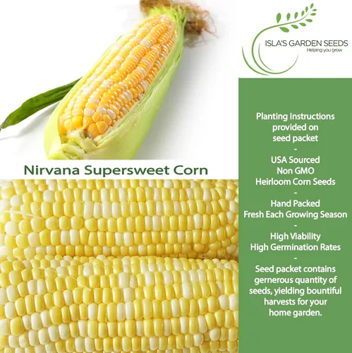 Miniatura 2 de Semillas de maíz bicolor "Nirvana Super Sweet" para plantar, más de 25 semillas de reliquia por paquete, semillas de jardín de Isla