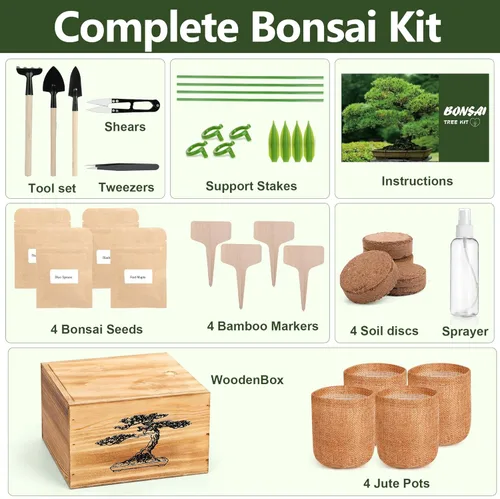 Miniatura 2 de Kit de árbol bonsái de 4 semillas, kit vivo de árbol bonsái para principiantes, fácil de cultivar, kit completo de inicio de jardín