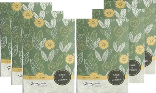 Simplicity Scents - Paquete de 6 sobres perfumados de salvia y cítricos, para uso diario, bolsas perfumadas de larga duración, fragancia para el