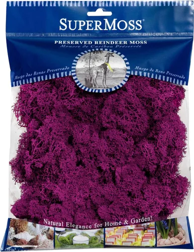 SuperMoss (23165) Musgo de reno, musgo preservado suave para decoración del hogar, manualidades, terrarios, diseño floral y decoraciones de boda,