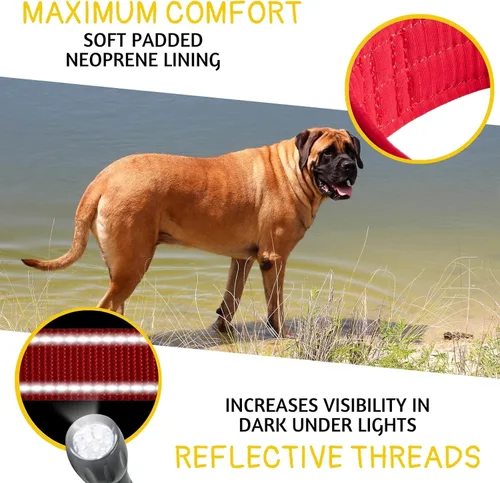 Miniatura 5 de ADITYNA - Collar para perros gigantes con asa - Collar ajustable XXL de 30 a 36 pulgadas - Diseñado exclusivamente para razas de perros enormes como