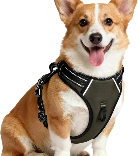 Miniatura 33 de Arnés para perro sin tirones, chaleco reflectante ajustable y acolchado para mascotas con asa de fácil control, fácil de llevar con nudo elegante