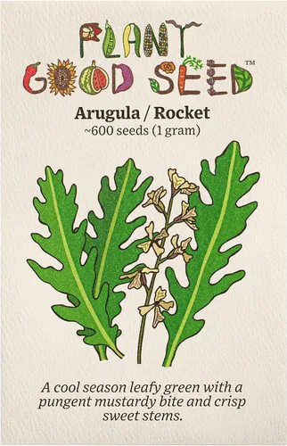 Plant Good Seed Semillas orgánicas de rúcula Astro para plantar: ensalada picante verde para esporuting, hojas verdes suculentas - Paquete de 600