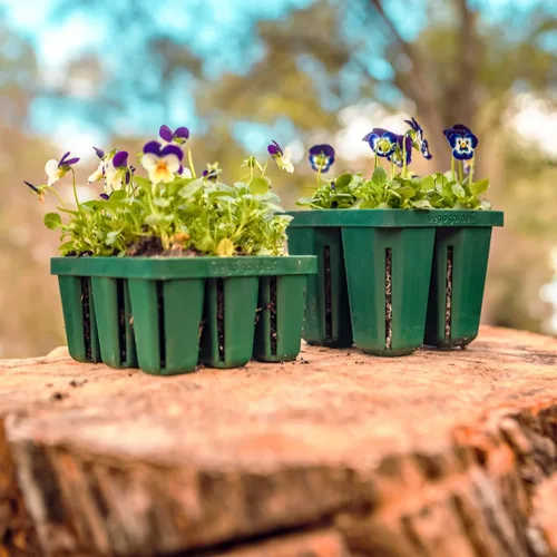 Miniatura 6 de Vego garden Bandejas de plántulas jumbo sin tapas, paquete de 8 bandejas reutilizables para cultivar plantas más grandes, bandejas de germinación