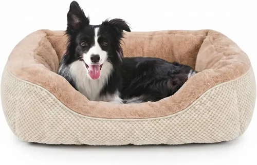Miniatura 23 de Invenho - Camas para perros pequeños y medianos lavables, ortopédicas, calmantes, autocalentamiento, suaves, duraderas, con fondo antideslizante