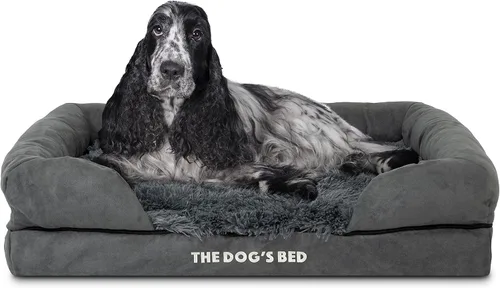 Miniatura 40 de The Dog's Bed - Cama ortopédica de espuma viscoelástica para perros medianos, colchón de soporte de alta densidad, entrada frontal baja, funda negro