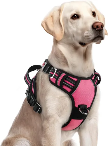 Miniatura 30 de rabbitgoo Arnés para perro de tamaño pequeño, chaleco para perro sin tirones con 3 hebillas, arnés ajustable y acolchado suave para mascotas con asa