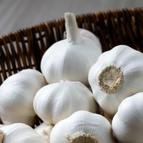 4 bombillas de ajo de cuello duro para plantar, paquete de bombillas de ajo musical para plantar, semillas de ajo
