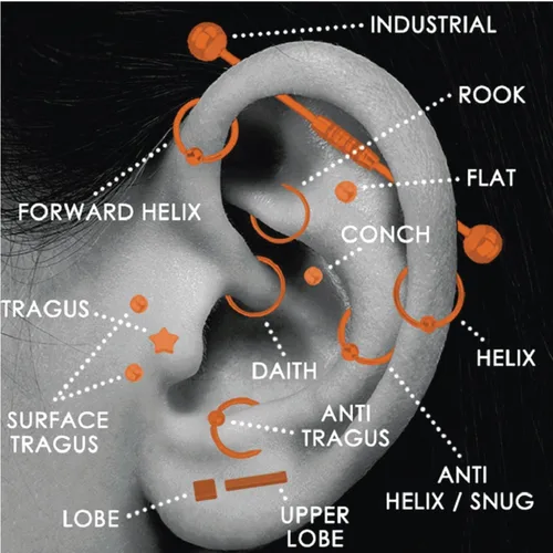 Miniatura 7 de BodyJ4You - Juego de 36 piezas PRO para piercings corporales - nariz, septum, oreja, cartílago, labio, ombligo, trago, ceja - acero quirúrgico 14G
