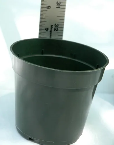 Miniatura 3 de Dillen Macetas de plástico estándar de 4 pulgadas para plantas, corte y plántulas, paquete de 30