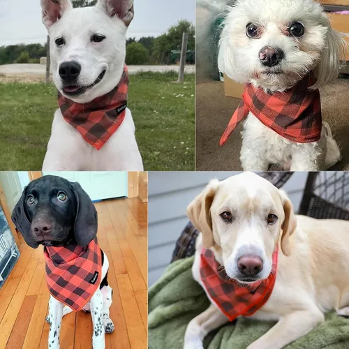 Miniatura 6 de Bandana para Perro Otoño Pequeño-Naranja Marrón Bufanda para Perro Estampado Buffalo Plaid Babero Ajustable Pañuelo Accesorios para Perros Pequeños