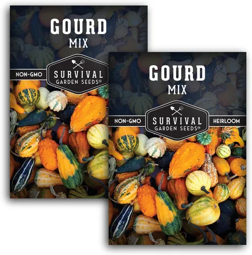 Miniatura 10 de Survival Garden Seeds - Mezcla de semillas de calabaza para plantar - 1 paquete con instrucciones para plantar y cultivar calabazas ornamentales