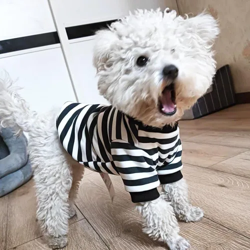 Miniatura 2 de Sudaderas con capucha para perro con anillo para correa, camisa cálida a rayas para perros pequeños, hembras, niños, gatos, suéter de invierno