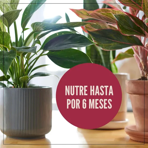 Miniatura 9 de Miracle-Gro Mezcla para Macetas de Plantas de Interior: Suelo Fertilizado con Perlita para Jardinería de Interiores, Diseñado para ser Menos