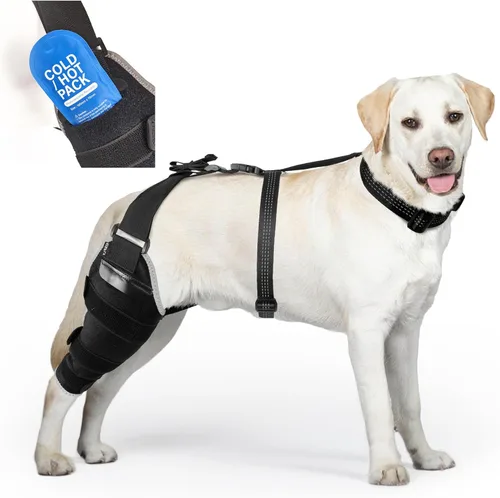 Miniatura 8 de Perro ACL Brace pata trasera – Soporte de pierna trasera ajustable transpirable con gel de compresión caliente/frío para artritis, hinchazón