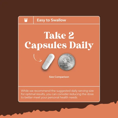 Miniatura 7 de Advanced Mushroom Complex Cápsulas – 10 cápsulas de suplemento de melena de león con Reishi, Chaga, Maitake y Shiitake para la salud cerebral apoyo