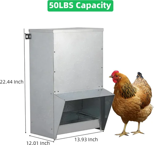 Miniatura 3 de Comedero para pollos CTF-50BL1 MAX, 50Bls