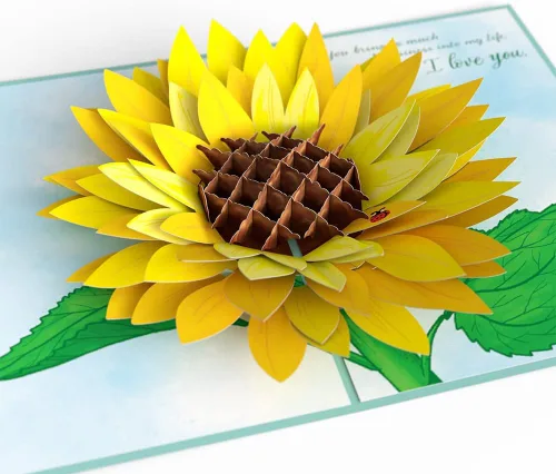 Lovepop Tarjeta desplegable diaria para ella y él – Tarjetas de felicitación 3D para niños, niñas, hombres y mujeres – Para mi esposa girasol –