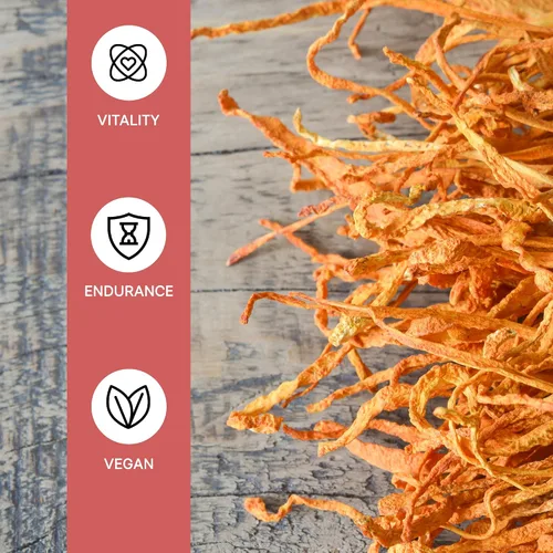 Miniatura 4 de Cordyceps Cápsulas de alta potencia 30% beta-glucanos 120 cápsulas veganas 60 porciones Apoya la vitalidad y resistencia Certificado