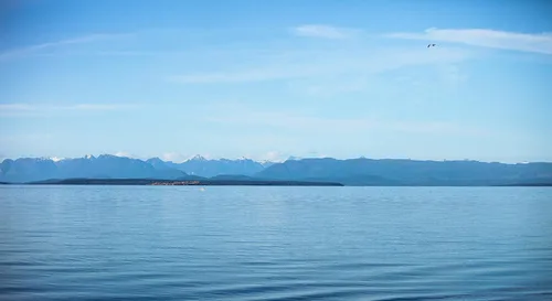 Miniatura 5 de Sal marina escamosa a granel, copos de sal gourmet grandes de 35 onzas, calidad de chef profesional, hecha a mano en la isla de Vancouver, sal