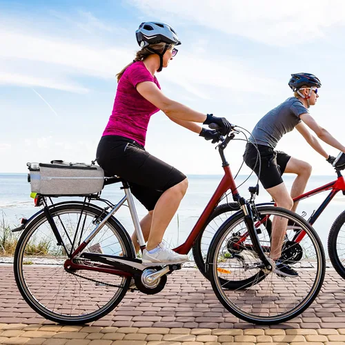 Miniatura 5 de RAYMACE Bolsa Enfriadora para Maletero de Bicicleta con Luz Trasera, Bolsa para Portaequipajes Trasero de Bicicleta con Almacenamiento Aislado 8L