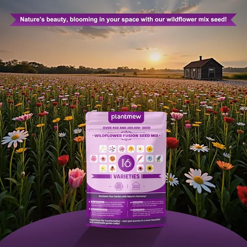 Miniatura 6 de Más de 200,000 semillas de flores silvestres [4 onzas] 16 variedades de mezcla perenne, sin OMG, semillas de reliquia de origen estadounidense