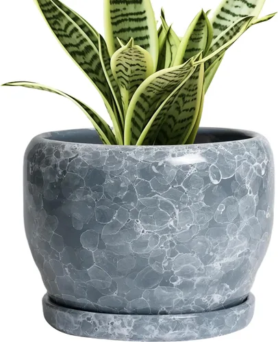 Miniatura 45 de SQOWL Macetas de cerámica – Maceta de 6 pulgadas con orificio de drenaje y bandeja, maceta redonda para plantas de interior, maceta decorativa