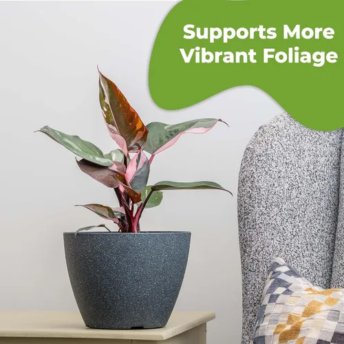 Miniatura 6 de Perfect Plants - Niebla foliar de filodendro lista para usar Alimento vegetal de interior para el crecimiento del follaje Mezcla equilibrada