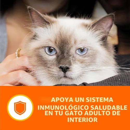 Miniatura 8 de IAMS Perfect Portions - Paquete variado de alimento húmedo para gatos adultos de interior, cortes en salsa, recetas de salmón y atún, 2.6 oz.