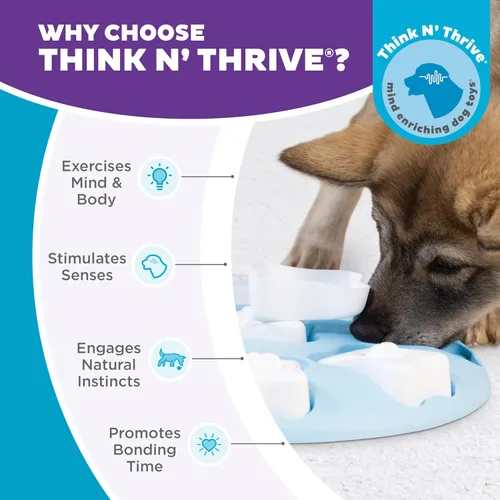 Miniatura 6 de Nina Ottosson by Outward Hound Puppy Smart - Juguete interactivo de rompecabezas de premios para perros, color azul Puppy Smart (azul claro)