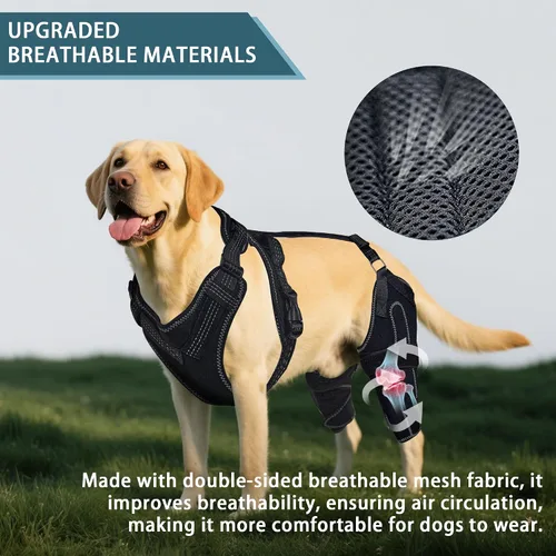 Miniatura 6 de Rodillera para perro para pierna trasera desgarrada del ACL, soporte para piernas traseras de perros, articulaciones cálidas y alivia el dolor