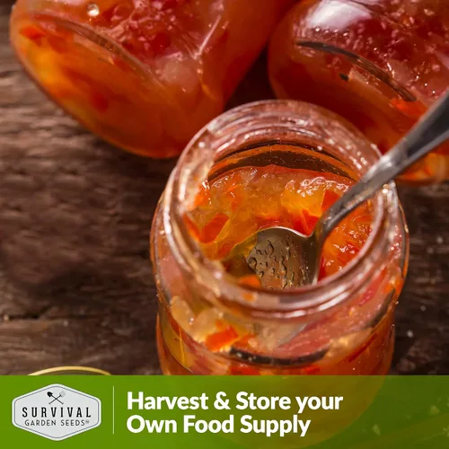 Miniatura 6 de Survival Garden Seeds - Semillas de pimiento habanero naranja, chile afrutado extremadamente picante para plantar, variedad tradicional sin OMG