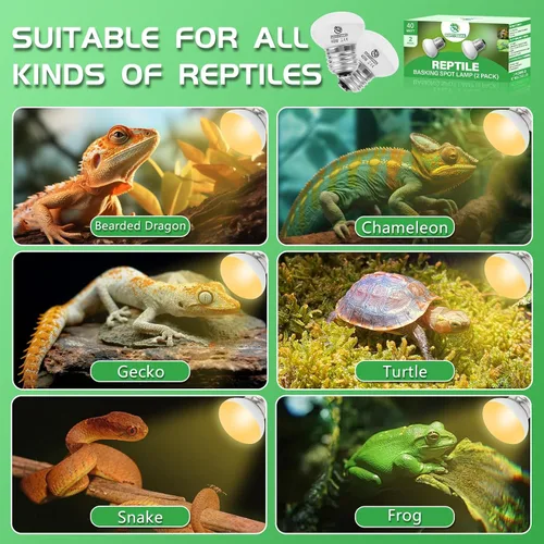 Miniatura 6 de Bombillas de calor para reptiles, paquete de 2 bombillas de calor para reptiles UVA, bombillas de calor de 40 W, luz diurna para lagarto, dragón