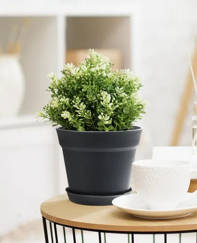Miniatura 4 de homenote Macetas para plantas, paquete de 15 macetas de plástico de 6 pulgadas con múltiples agujeros de drenaje y bandeja, macetas para todas