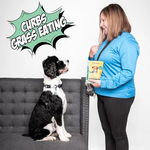 Miniatura 4 de Chippin Golosinas saludables para perros, galletas crujientes totalmente naturales con espirulina real, col rizada, avena, sin carne