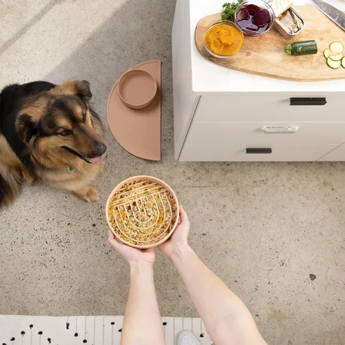 Miniatura 4 de Should We Go? Comedero lento para perros y cachorros, cuenco de silicona para comer lentamente, diseño moderno de alfombrilla para lamer, reduce