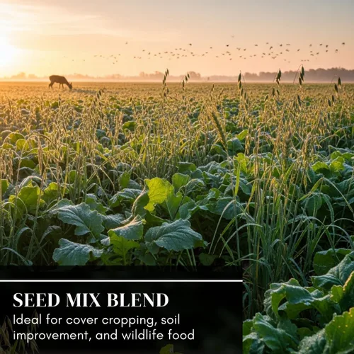 Miniatura 5 de No-Till Garden Farm and Garden Cover Crop Mix Seeds - Mezcla de semillas de cultivo de cobertura de jardinería: Veja peluda, rábano Daikon, coles