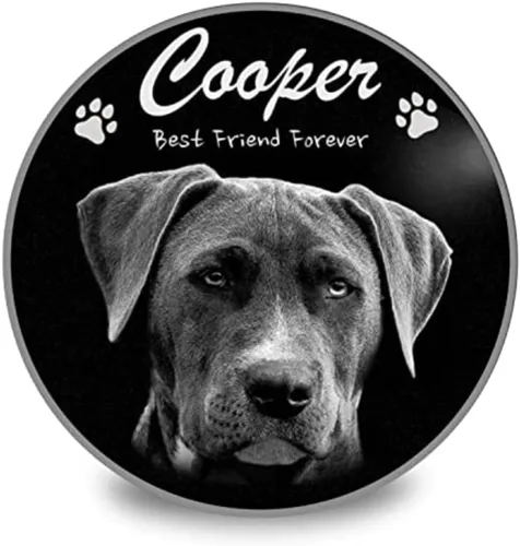 Miniatura 12 de ADFSTONE Piedras conmemorativas para mascotas en forma de corazón de 10 pulgadas, regalos personalizados de recuerdo de perros, placa de duelo