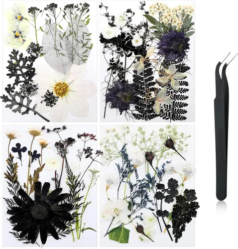 Miniatura 19 de Nuanchu Flores secas prensadas negras para manualidades, flores secas góticas, flores silvestres prensadas naturales a granel con pinzas para molde