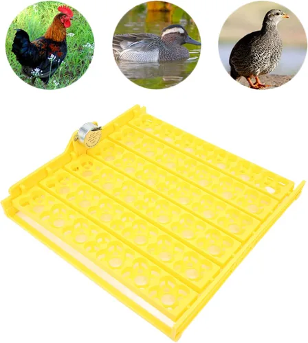 Miniatura 6 de Pssopp Bandeja automática de giro de huevos, mini incubadora de incubadora, herramienta automática de giro de huevos con motor para pollo, pato