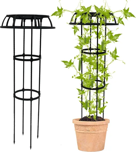 Quibbay Enrejado de Jardín para Plantas Trepadoras al Aire Libre, Enrejado de 41.3 Pulgadas con Parte Superior en Forma de Seta para Plantas