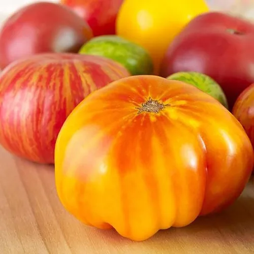 Miniatura 2 de Semillas de tomate Rainbow Cherry – 20 semillas – Colores impresionantes y deliciosos tomates para cultivo en casa, sin OGM, sin neonicotinoides.