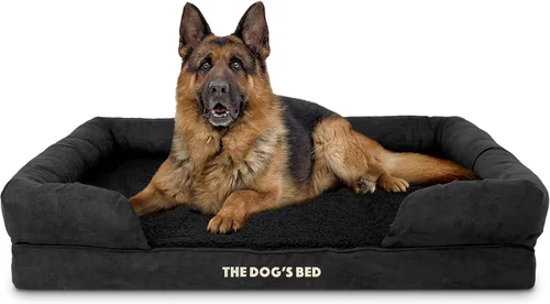 Miniatura 54 de The Dog's Bed - Cama ortopédica de espuma viscoelástica para perros medianos, colchón de soporte de alta densidad, entrada frontal baja, funda negro