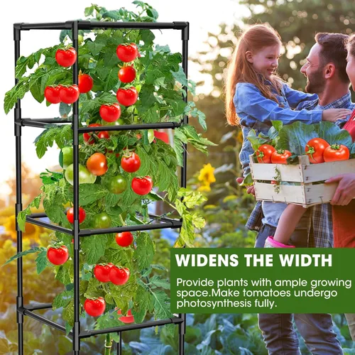 Miniatura 5 de Paquete de 3 jaulas de tomate, estacas cuadradas para plantas de tomate, jaulas de soporte para jardín, escalada, verduras, flores, frutas, extra