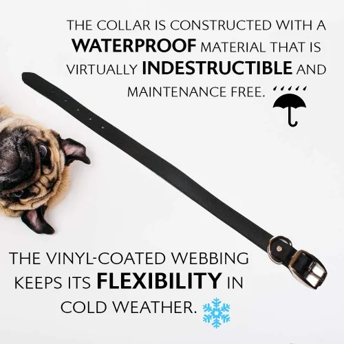 Miniatura 8 de Regal Dog Products Collares de perro pequeños negros impermeables con placa de nombre personalizada grabada Collar de perro de Biothane
